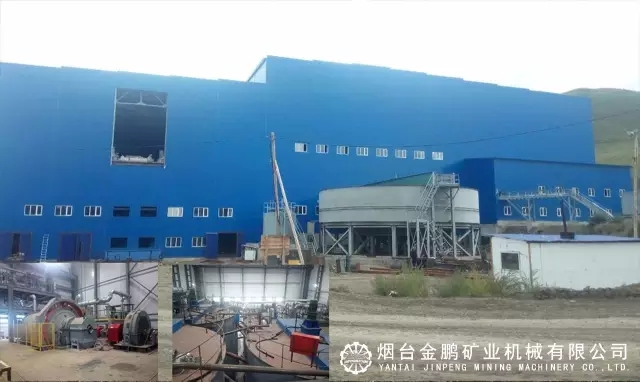 1499759199132759.jpg 2.webp (1).jpg