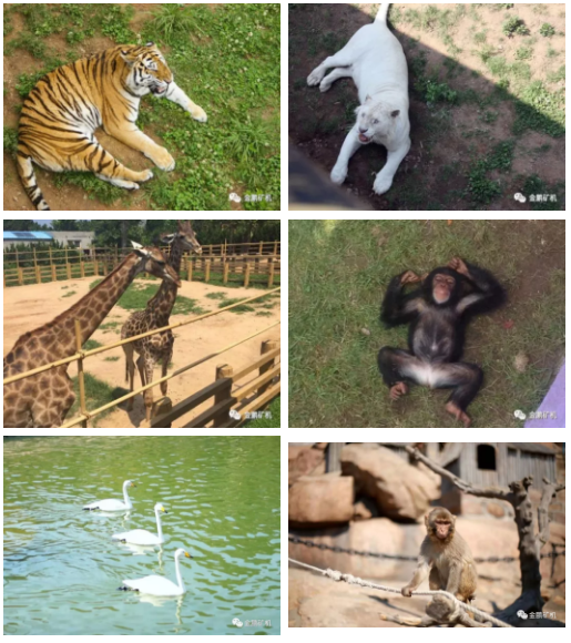 1553221590229595.png image.png